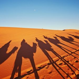 Desert Travel Mastery Program